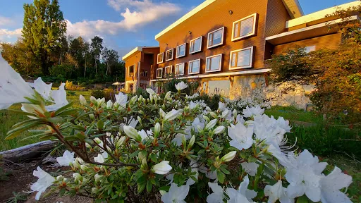 Cascadas Hotel en Llanquihue