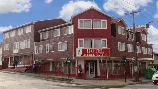 Hotel Alerce Nativo en Castro
