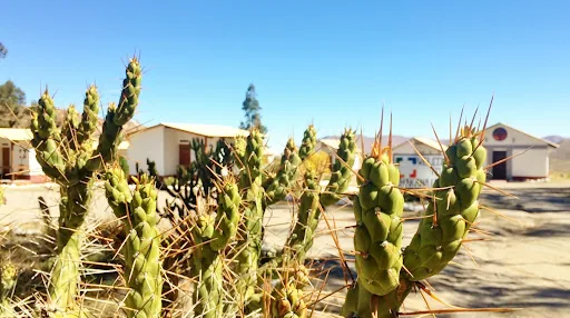 La Chakana Mountain Lodge en Arica