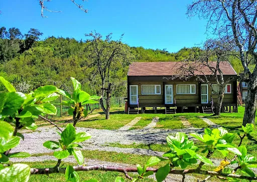 Meraki Lodge en Llanquihue