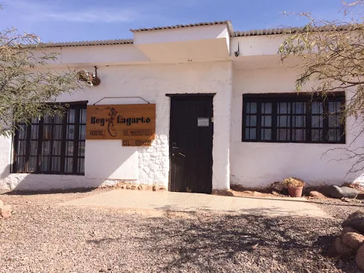 Rey Lagarto Hostel en Antofagasta