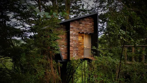 Tree lodge chiloe en Chiloé