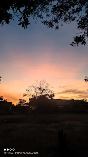 El Placer en La Primavera, Colombia