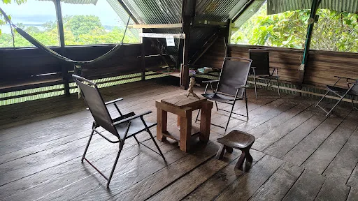 Paraiso Ayahuasca Hostel & Tours en Puerto Narino, Colombia