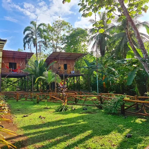 Tortuga Bay Eco Hotel en Mutis, Colombia