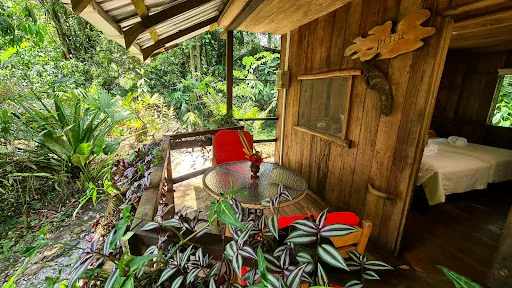 Hakuna Matata Amazon Lodge en Archidona, Ecuador