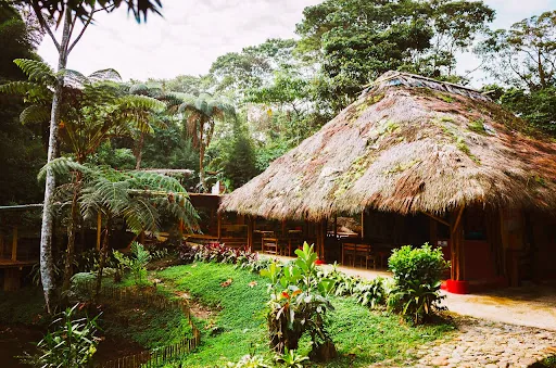 Huasquila Amazon Lodge & Reserve en Archidona, Ecuador