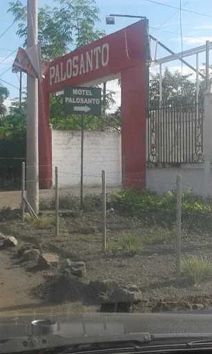 Palosanto en Santa Ana, Ecuador