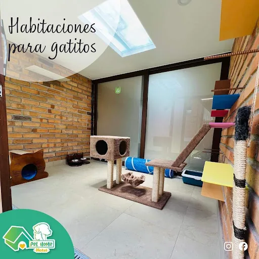 Pet Home - Hotel De Mascotas en Llacao, Ecuador