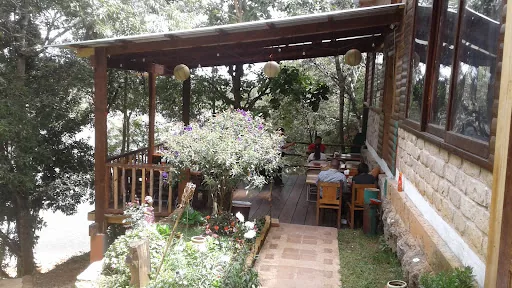 Montepinar en La Esperanza, Honduras