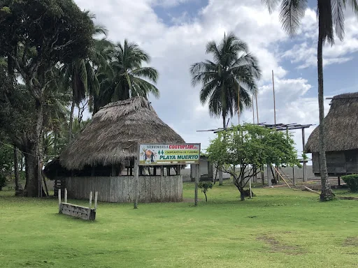 Comunidad Playa Muerto en Bayamon, Panamá