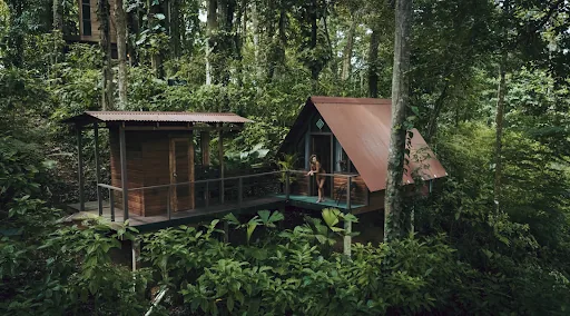 La Selva at Nomad Tree Lodge en Bocas del Toro, Panamá