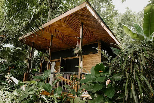 Palmar Beach Lodge en Bastimentos, Panamá