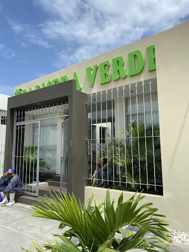 Palmera Verde en Piura, Perú