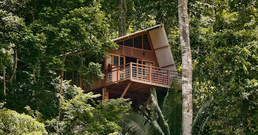 Pumarinri Amazon Lodge en Shapaja, Perú