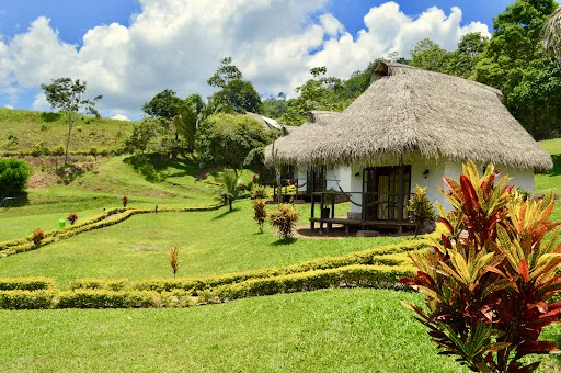 Sauce Lodge - Laguna Azul en Sauce, Perú