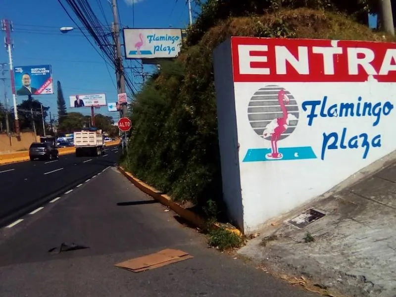 Hotel Flamingo Plaza fachada