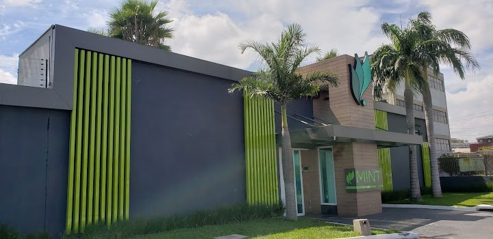 Mint Motel, Guarulhos