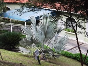 Motel Dreams, São Gonçalo