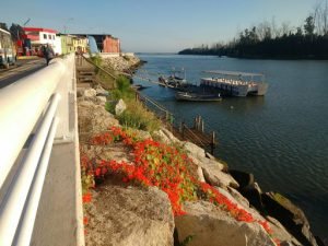 Alojamiento Refugio Guanay, Constitucion