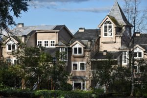 Bahía Coique, Ranco