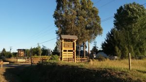 Cabañas Chilcos del Sur, Freire