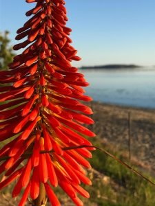 Cabañas Luna Colaco, Calbuco
