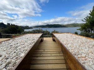 Cabañas Parador del Águila, Curicó