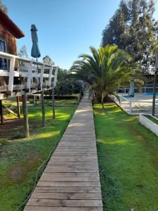 Cabañas Valle, Algarrobo