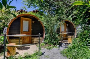 Chili Kiwi Hostel, Pucón