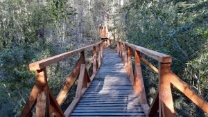 Domos Entre Bosques, Malleco