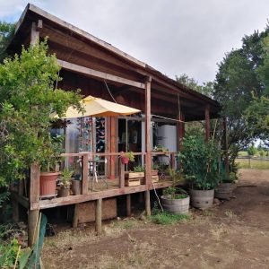 Equilibre Maule, Colbún