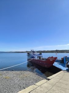 Hospedaje Futrono-hostal, Ranco