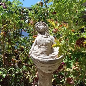 Hostal Cecil +, Vallenar