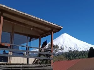 Hostal Donde La Nena, Llanquihue
