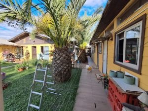 HOSTAL El Aromo, San Carlos