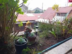 Hostal Valentino, Villarrica