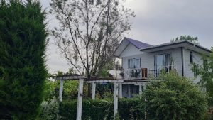 Hotel ARRUZ, Linares