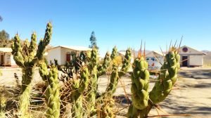 La Chakana Mountain Lodge, Arica