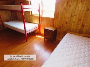 La Estrella del Canelo, Algarrobo