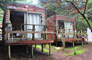 Lodge Los Bosques, Cardenal Caro