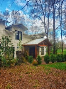 Nido del bosque, Cautín