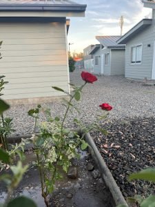 Pewma Apart Hotel, San Carlos