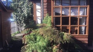 Pucon Beach Cabañas, Pucón