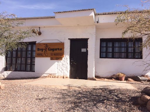 Rey Lagarto Hostel, Antofagasta