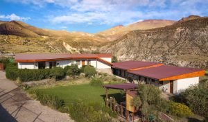 Terrace Lodge & Tours, Arica