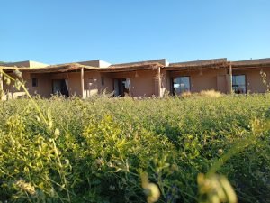 Tiunur Hotel boutique, Antofagasta