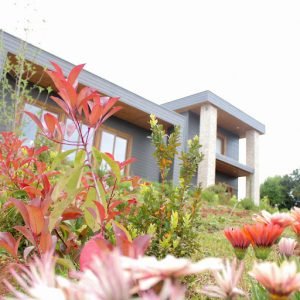 Villa Taly, Concepción