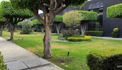 Motel Picasso Circuito-cdmx