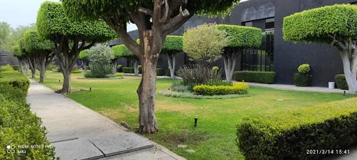 Motel Picasso Circuito | CDMX
